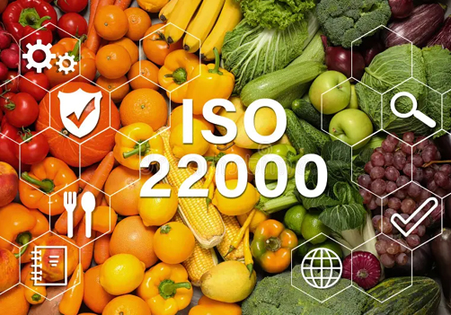 ISO Certification in Barpeta ISO Certification in Barpeta